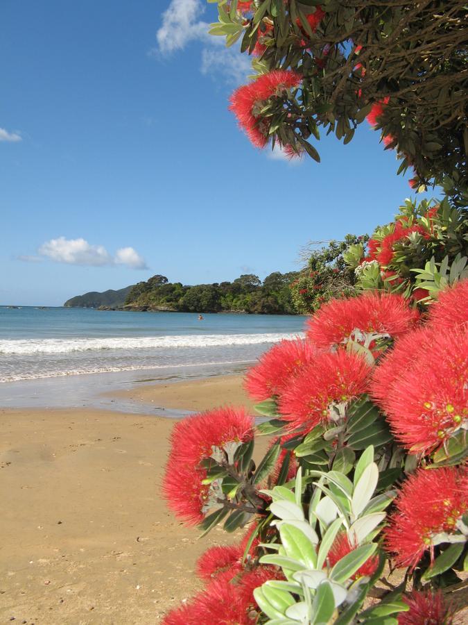 By The Bay Beachfront Apartments Mangonui Exterior photo